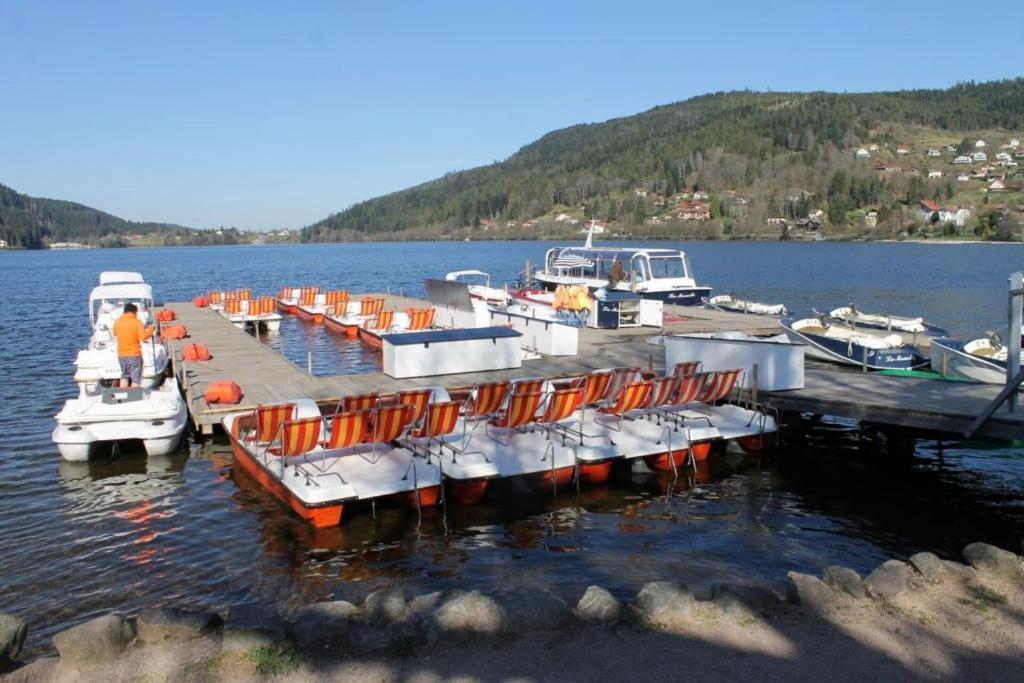 Beau Duplex A Proximite Du Lac De Gerardmer Avec Place De Parking Bagian luar foto